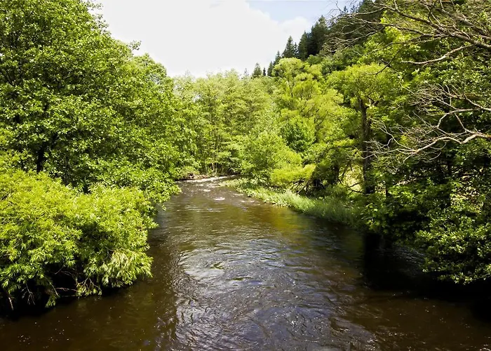 De Lange Man Eifel 4*